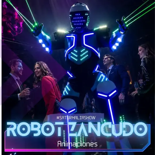Robot Zancudo LED